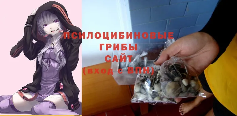 omg ссылки  продажа наркотиков  Приморск  Галлюциногенные грибы Magic Shrooms 